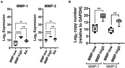 Utility of Baseline Transcriptomic Analysis of Rheumatoid Arthritis Synovium as an Indicator for Long-Term Clinical Outcomes